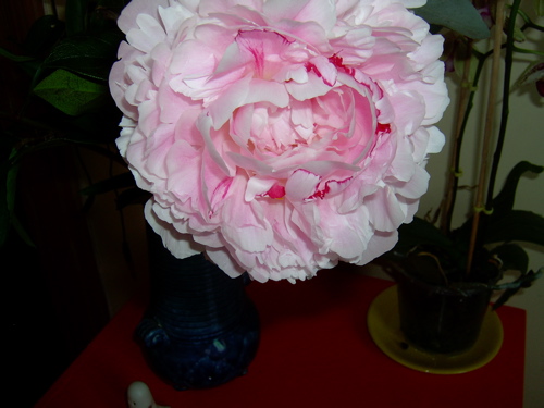 2005-07-03 grr