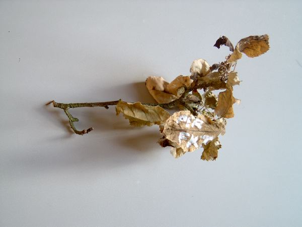 2006-03-31 PERFKT