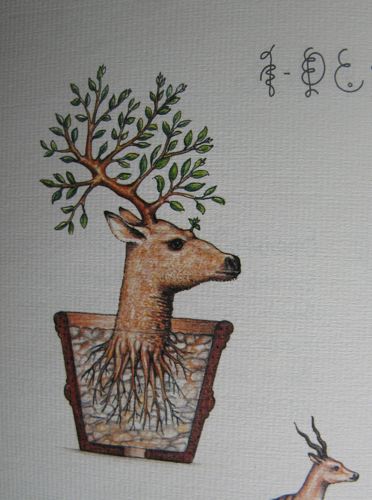 2006-05-04 deerpot from nik