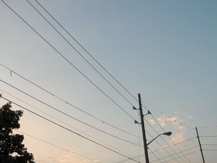 2006-08-19 birds on wire