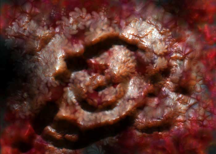 2007-05-20