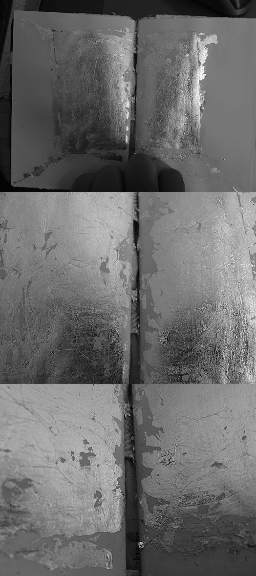 2010-06-24 silver