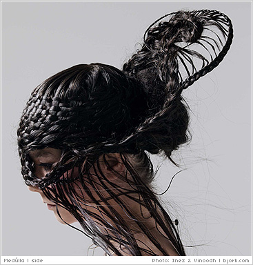 Bjork-Hair