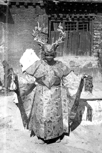 ChamDeer