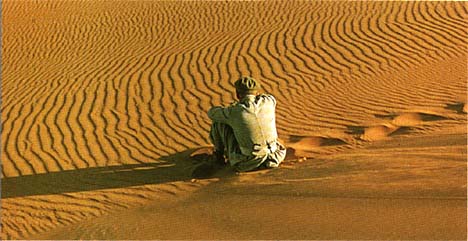 LawrenceOfArabia