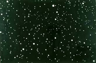 VijaCelmins stars