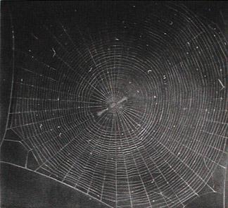 VijaCelmins web