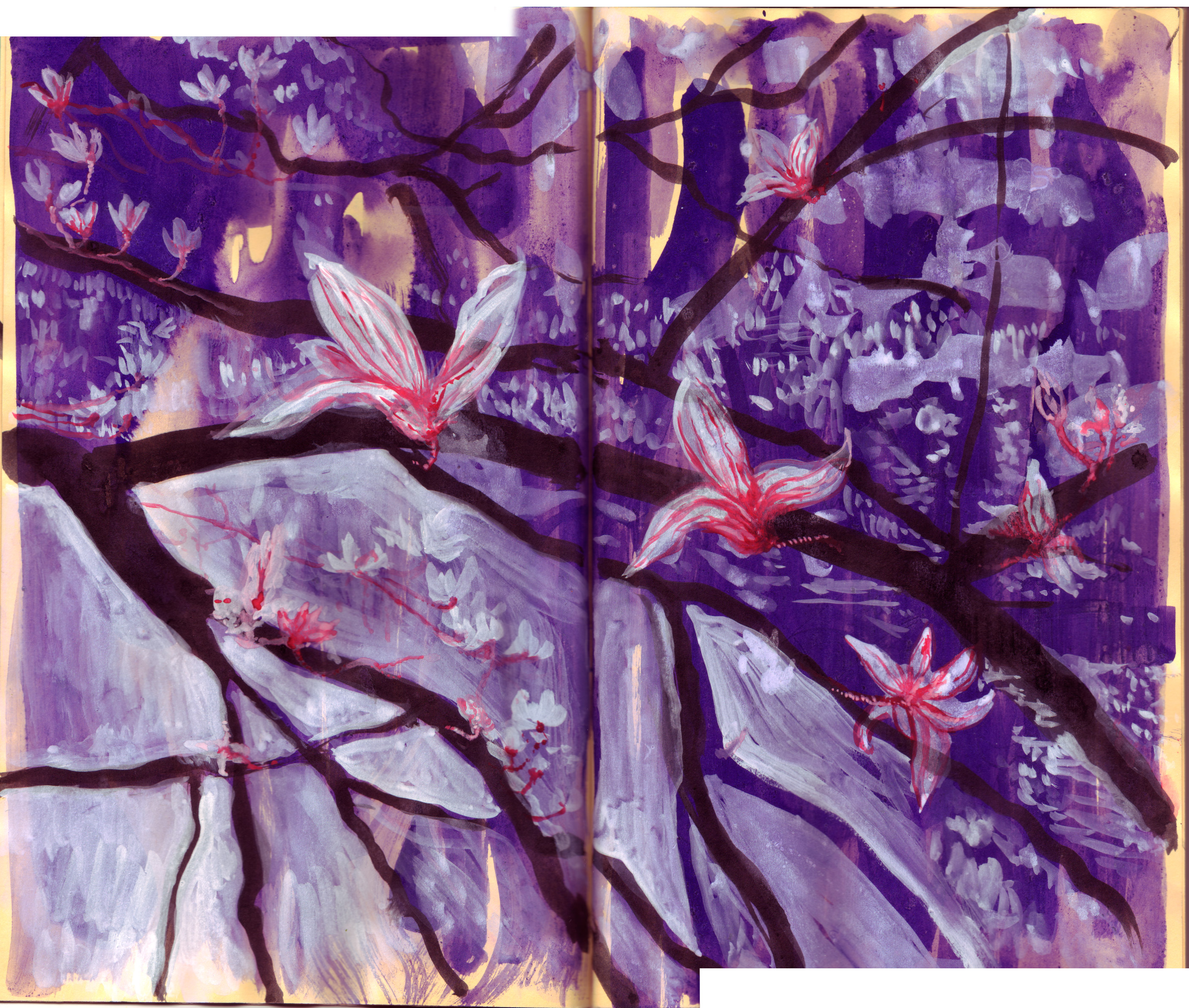 magnolia