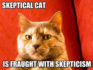skeptical