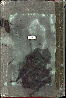 Book12A Cover