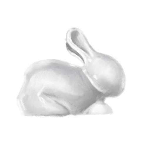bunny